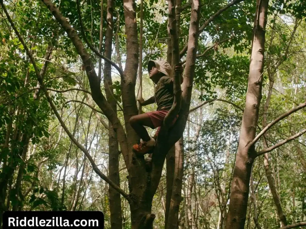 Easy Tree Riddles for Kids