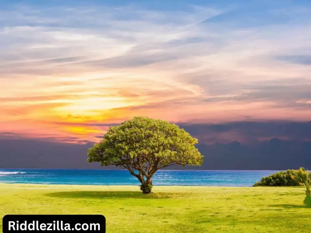 Tree Riddles for Adults