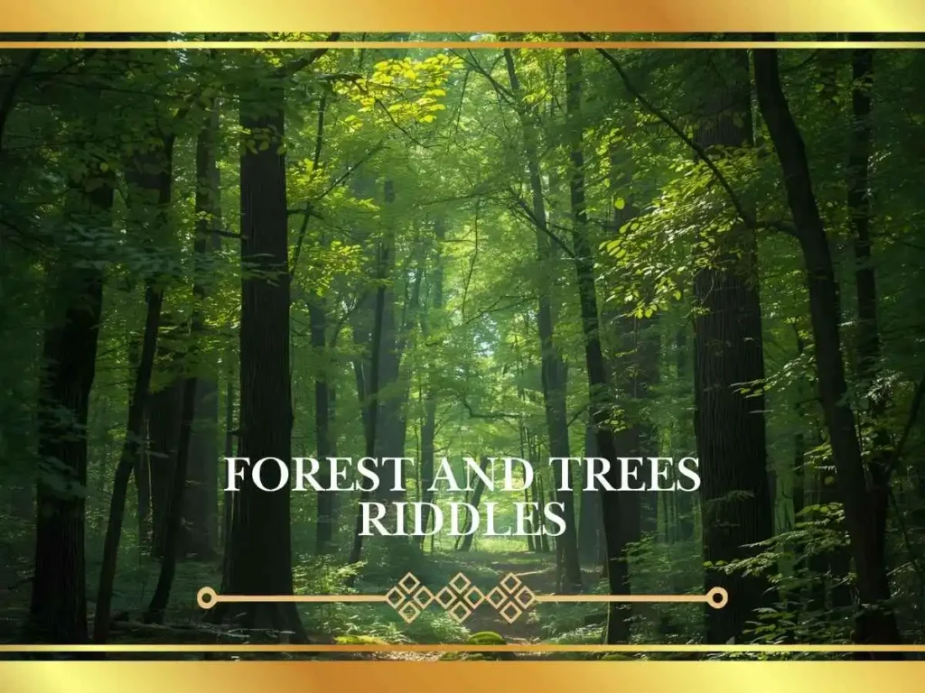 Forest and Trees Riddles