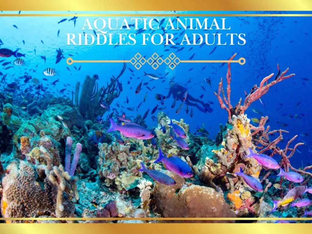 Aquatic Animal Riddles for Adults