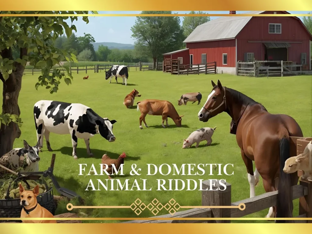 Farm & Domestic Animal Riddles