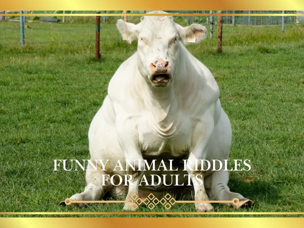 Funny Animal Riddles for Adults