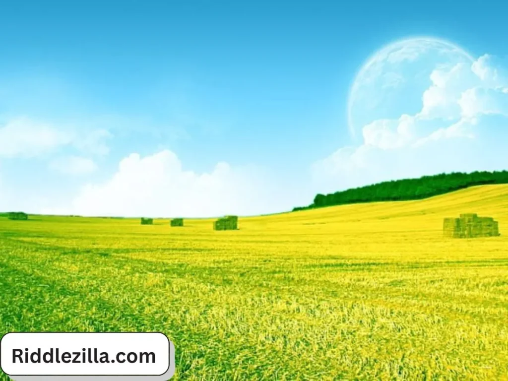 Harvest and Nature Riddles