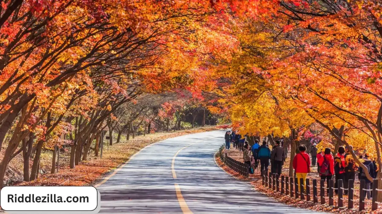 November Riddles for Students