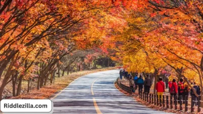 November Riddles for Students